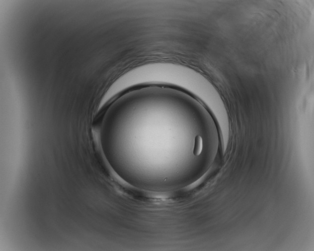 X0000114530233200910191328