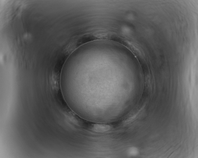 X0000114530234200910191328