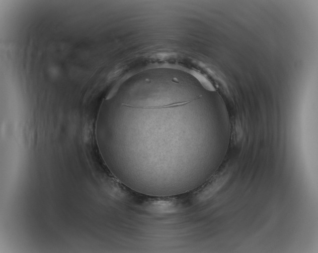 X0000114530236200910191328