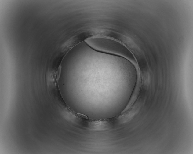 X0000114530237200910191328