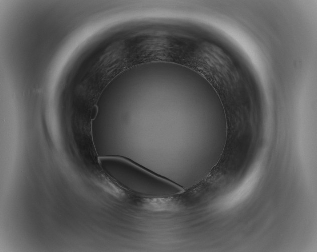 X0000114530239200910191328