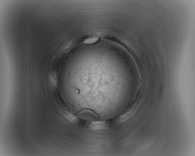 X0000114530240200910191328