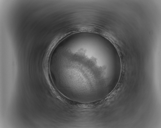 X0000114530241200910191327