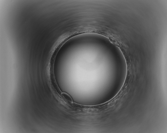 X0000114530242200910191327