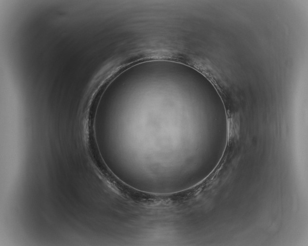 X0000114530243200910191327