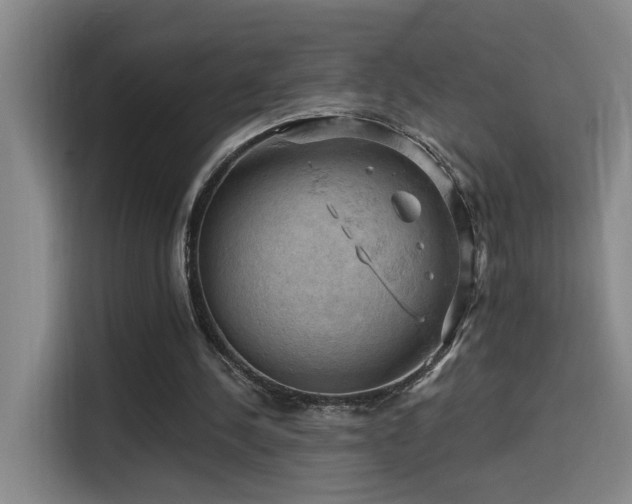 X0000114530244200910191327