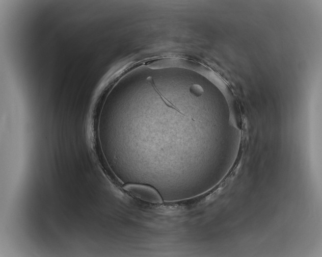 X0000114530245200910191327