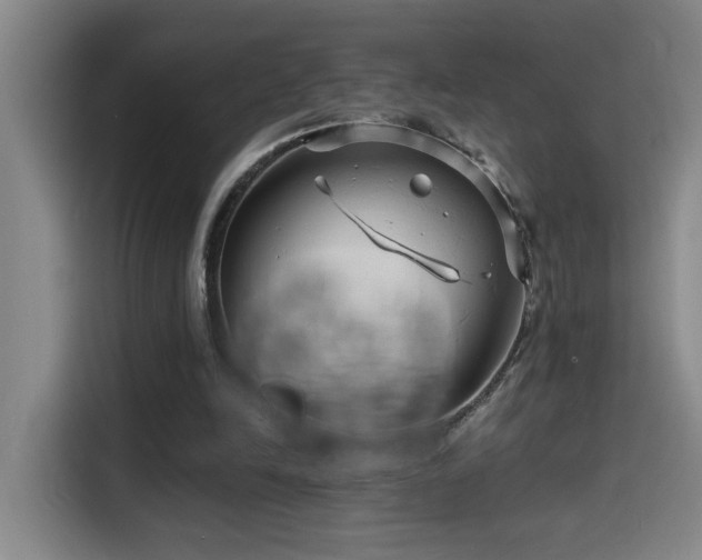 X0000114530246200910191327