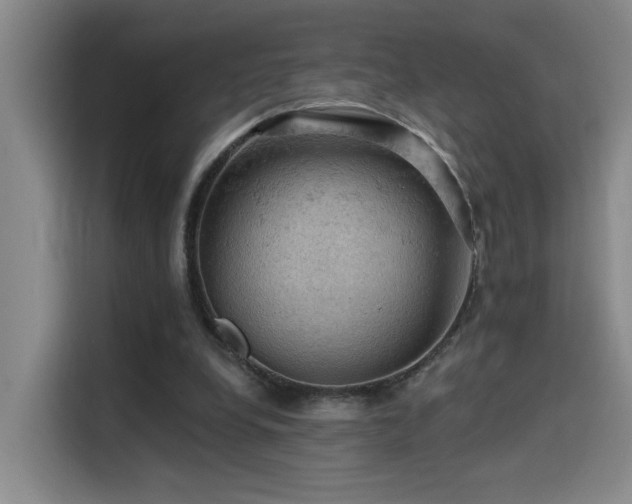 X0000114530248200910191327