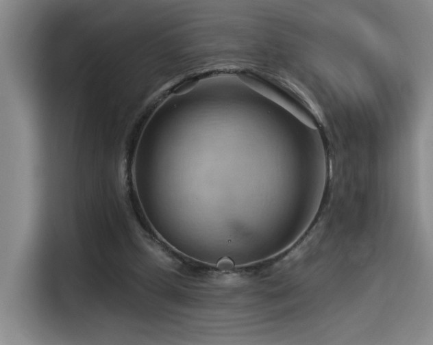 X0000114530249200910191327