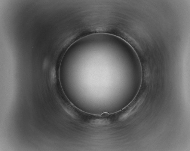 X0000114530251200910191327