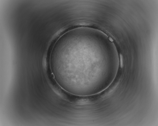 X0000114530252200910191327