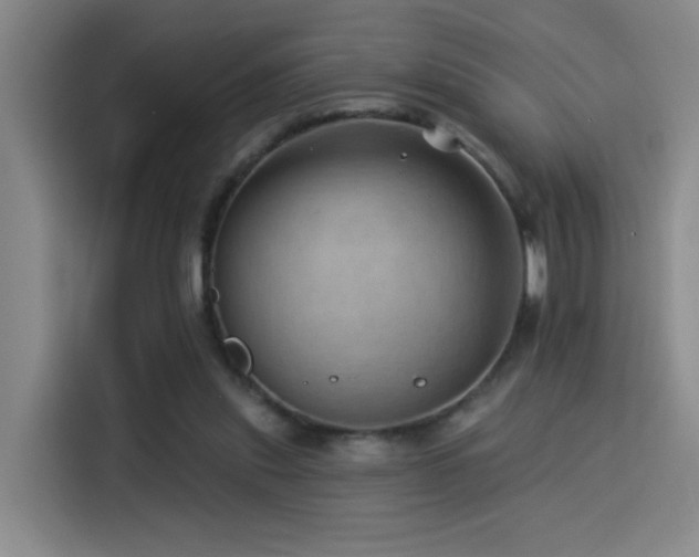 X0000114530253200910191327