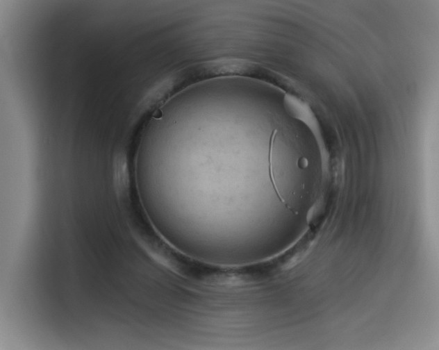 X0000114530254200910191327