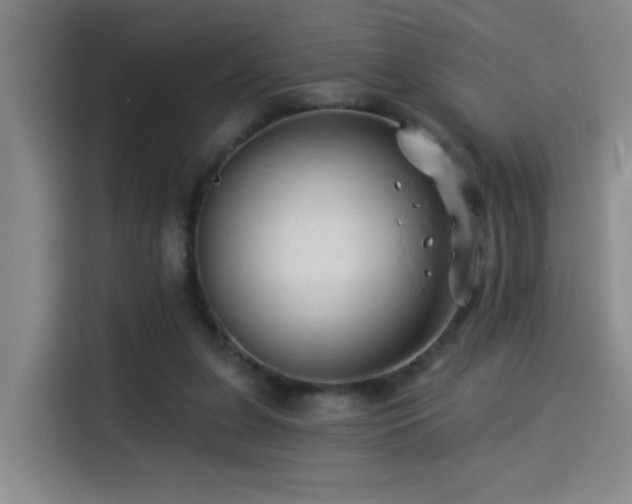X0000114530255200910191327