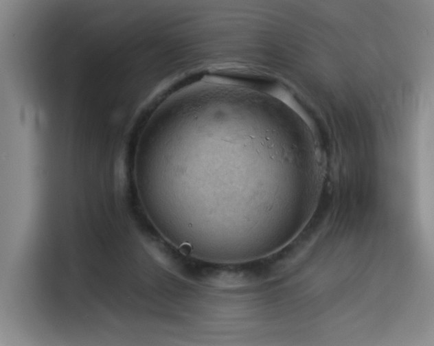 X0000114530256200910191327
