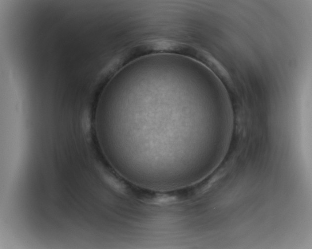X0000114530257200910191327