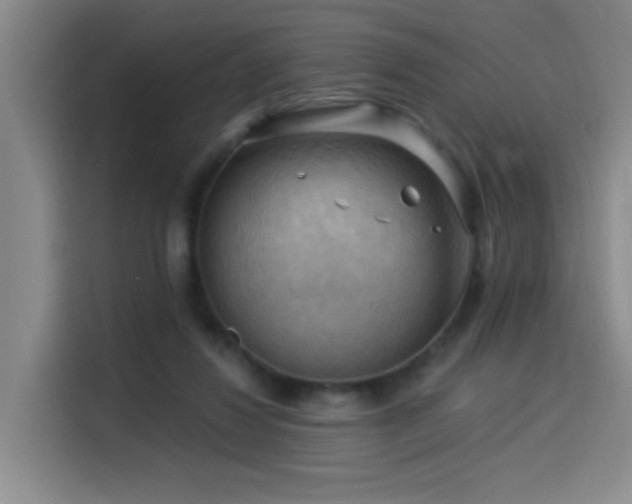 X0000114530260200910191327