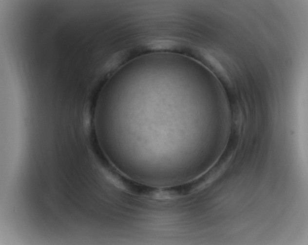 X0000114530261200910191328