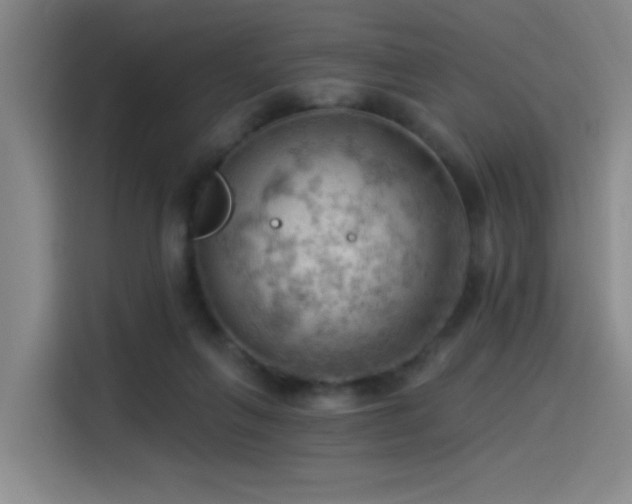 X0000114530263200910191328