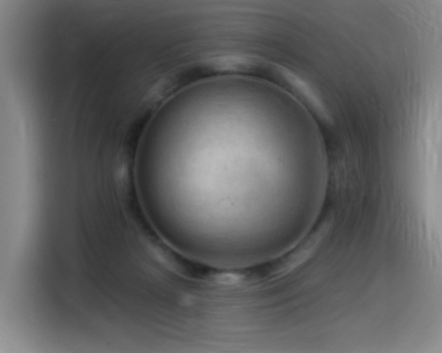 X0000114530265200910191328