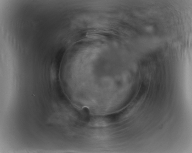 X0000114530268200910191328