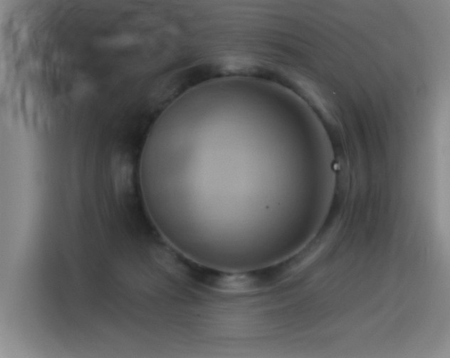X0000114530269200910191328