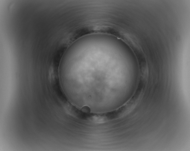 X0000114530272200910191328