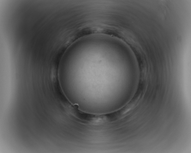 X0000114530274200910191328