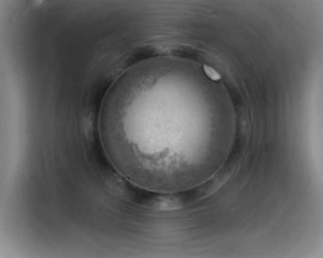 X0000114530275200910191328