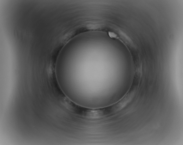 X0000114530277200910191328