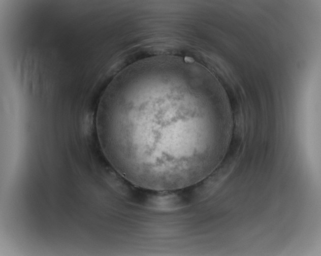X0000114530278200910191328