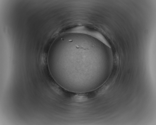X0000114530280200910191328