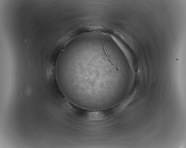 X0000114530281200910191328