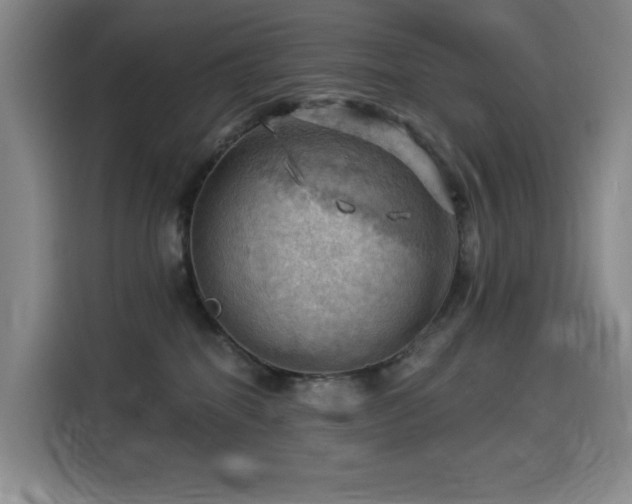 X0000114530282200910191328
