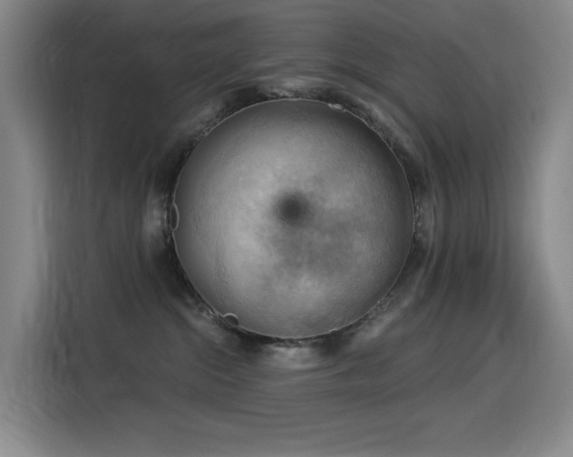 X0000114530284200910191328