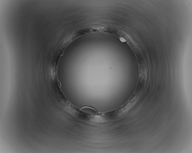 X0000114530285200910191328