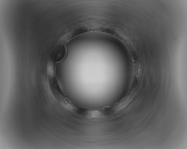 X0000114530287200910191328