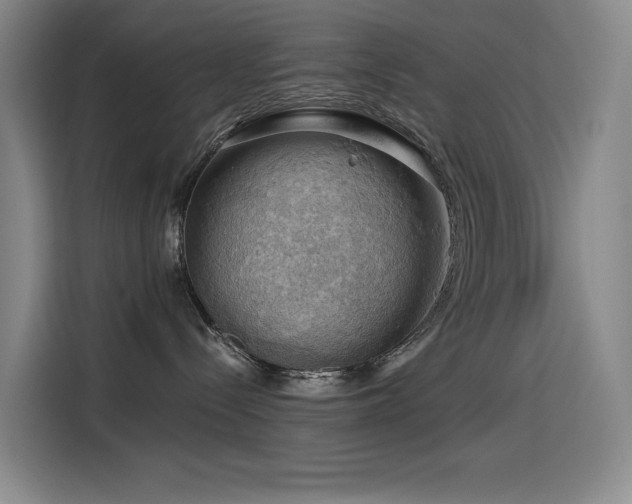 X0000114530288200910191328