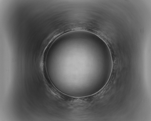 X0000114530290200910191327