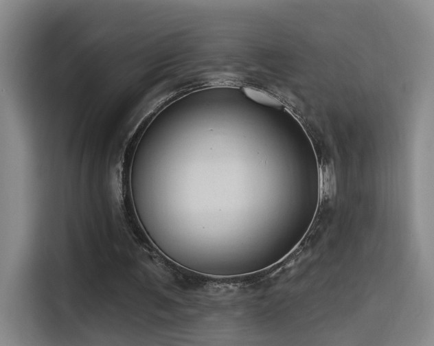 X0000114530291200910191327