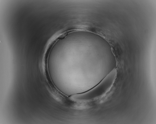 X0000114530294200910191327