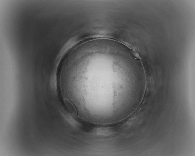 X0000114530296200910191327