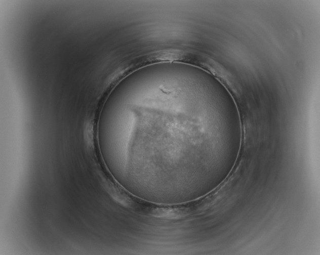 X0000114530297200910191327