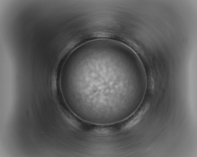 X0000114530299200910191327