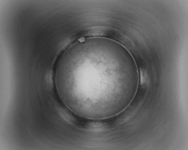 X0000114530300200910191327