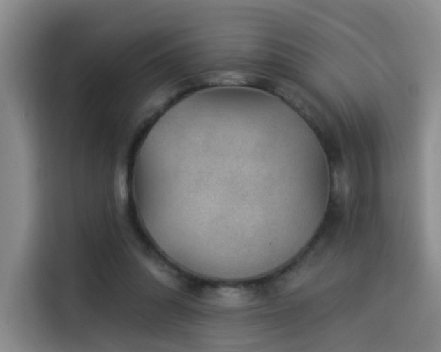 X0000114530302200910191327