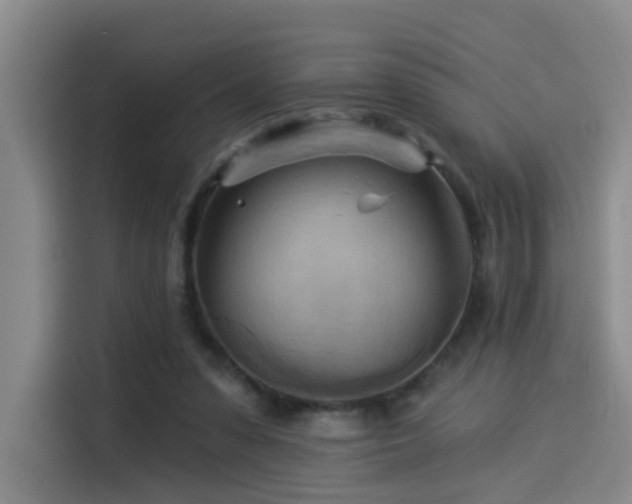 X0000114530303200910191327