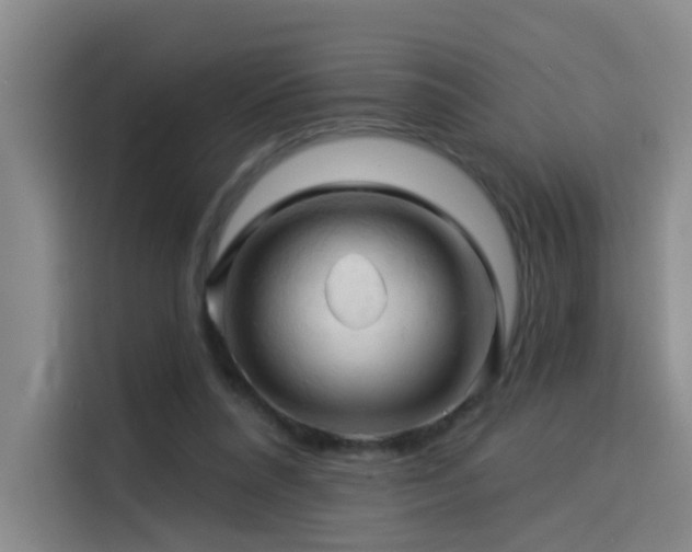 X0000114530304200910191327