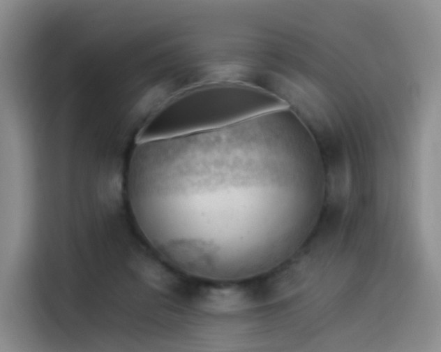 X0000114530309200910191327